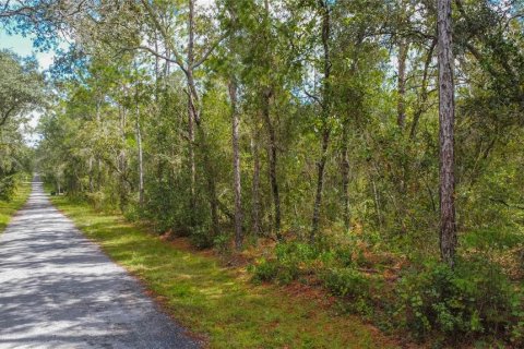Land in Inverness, Florida № 2163954 - photo 5