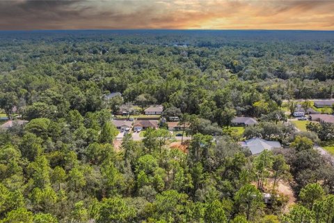 Land in Inverness, Florida № 2163954 - photo 19