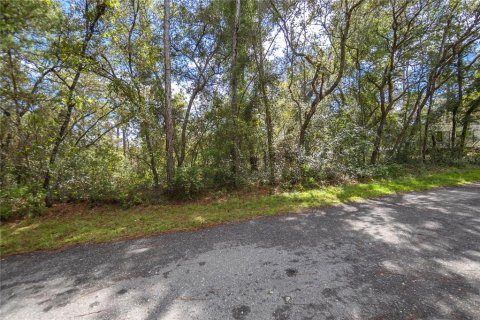 Land in Inverness, Florida № 2163954 - photo 4