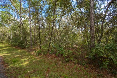 Land in Inverness, Florida № 2163954 - photo 2