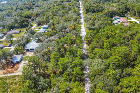 Land in Inverness, Florida № 2163954 - photo 13