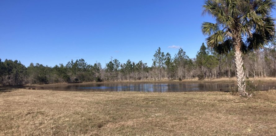 Terreno en Ormond Beach, Florida № 875776