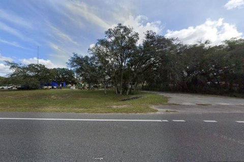 Land in Polk City, Florida № 2163756 - photo 2