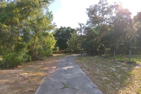 Land in Dunnellon, Florida № 1260912 - photo 5
