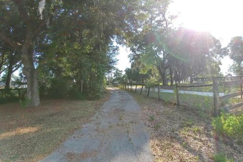 Land in Dunnellon, Florida № 1260912 - photo 1