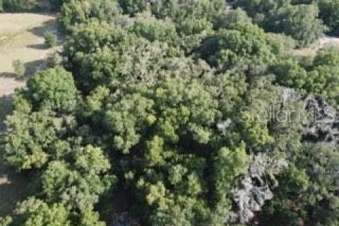 Land in Dunnellon, Florida № 1260912 - photo 17