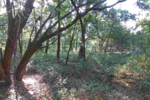 Land in Dunnellon, Florida № 1260912 - photo 11