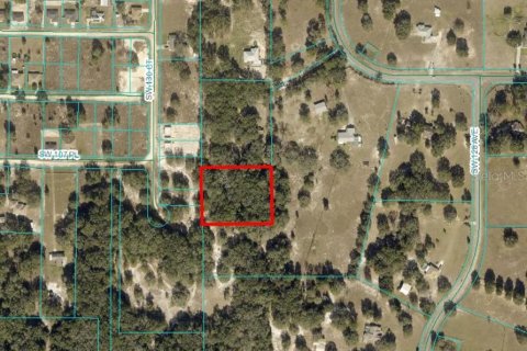Land in Dunnellon, Florida № 1260912 - photo 18