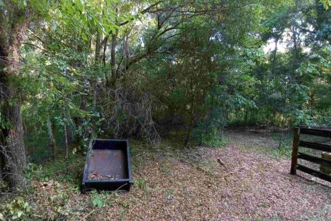 Land in Dunnellon, Florida № 1260912 - photo 9