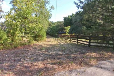 Land in Dunnellon, Florida № 1260912 - photo 6