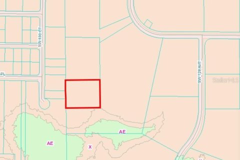Land in Dunnellon, Florida № 1260912 - photo 20