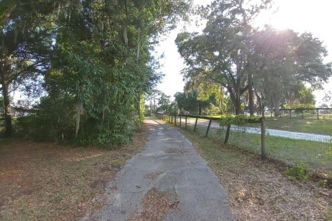 Land in Dunnellon, Florida № 1260912 - photo 2