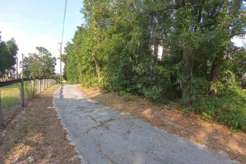 Land in Dunnellon, Florida № 1260912 - photo 3