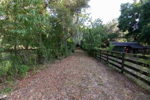 Land in Dunnellon, Florida № 1260912 - photo 7