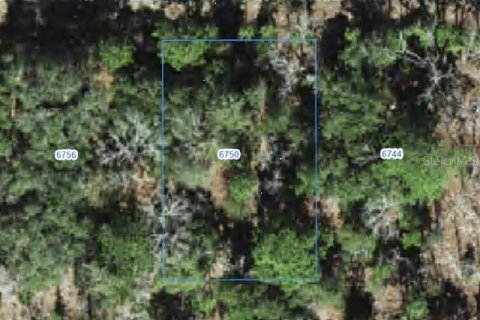 Land in Citrus Springs, Florida № 2388214