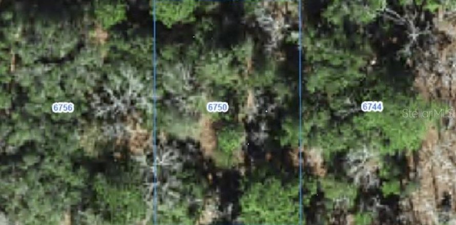 Land in Citrus Springs, Florida № 2388214