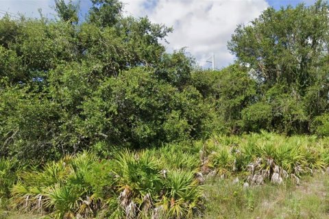 Land in Punta Gorda, Florida № 2225861 - photo 2