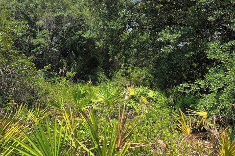 Land in Punta Gorda, Florida № 2225861 - photo 5