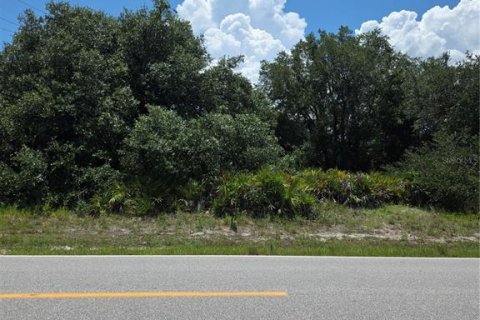 Land in Punta Gorda, Florida № 2225861 - photo 4