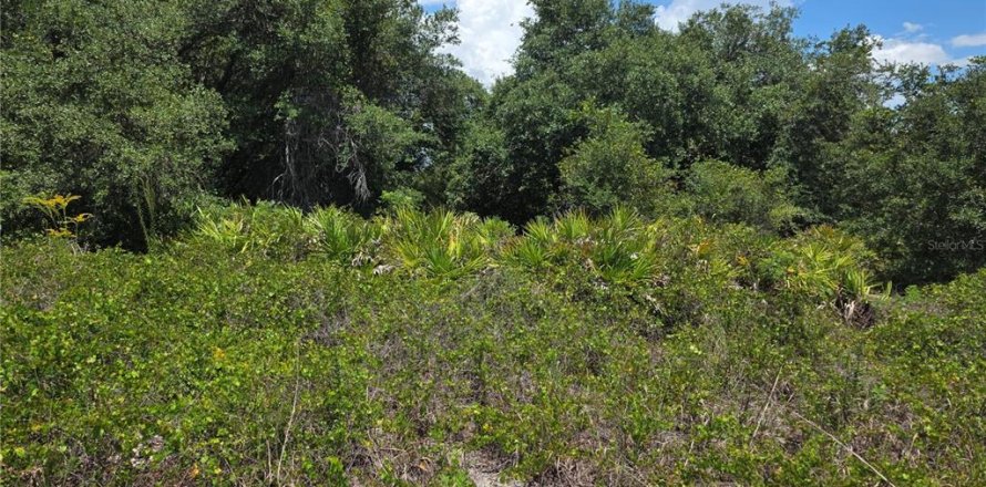 Land in Punta Gorda, Florida № 2225861
