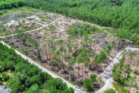 Land in DeLand, Florida № 2231349 - photo 5