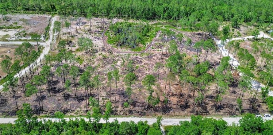 Land in DeLand, Florida № 2231349