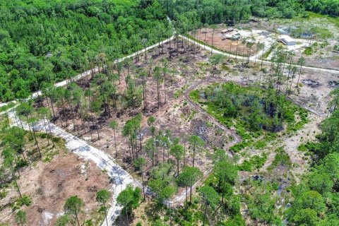 Land in DeLand, Florida № 2231349 - photo 3