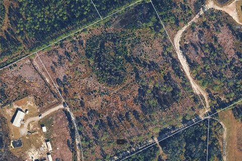 Land in DeLand, Florida № 2231349 - photo 7