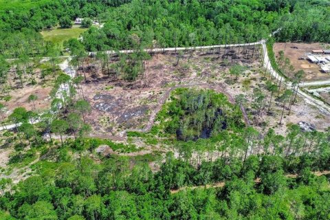 Land in DeLand, Florida № 2231349 - photo 2