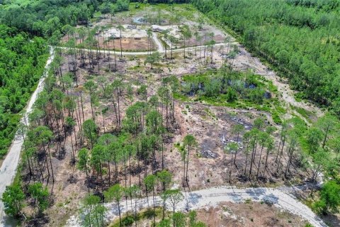 Land in DeLand, Florida № 2231349 - photo 4