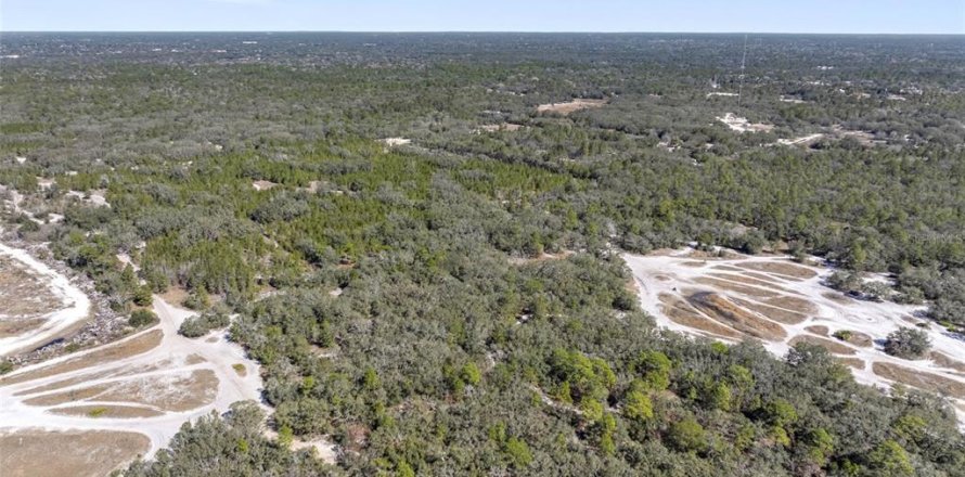 Terrain à Hudson, Floride № 1568321