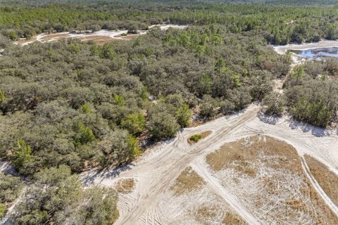 Terrain à vendre à Hudson, Floride № 1568321 - photo 26
