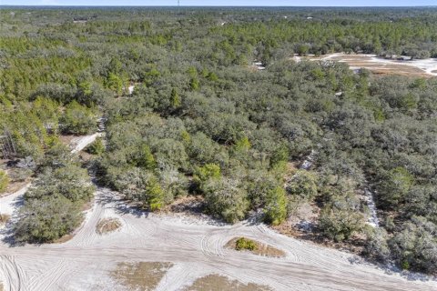 Terrain à vendre à Hudson, Floride № 1568321 - photo 24