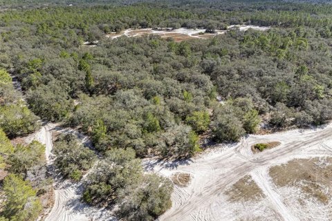 Terrain à vendre à Hudson, Floride № 1568321 - photo 25