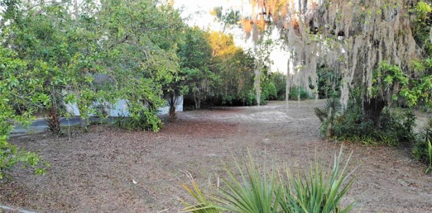 Terrain à Palm Harbor, Floride № 375060
