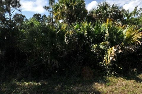 Land in North Port, Florida № 2164873 - photo 2