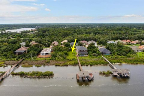 Land in Palm Coast, Florida № 1757383 - photo 5