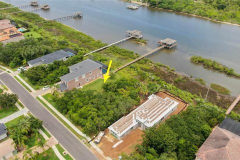Land in Palm Coast, Florida № 1757383 - photo 14
