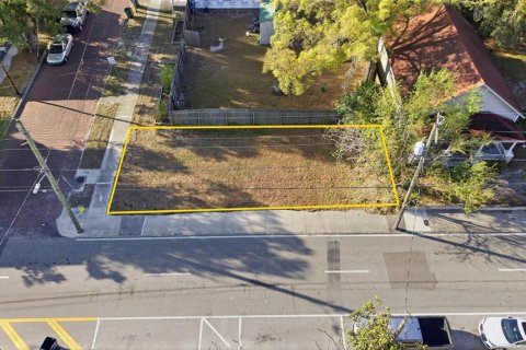 Land in Tampa, Florida № 2143179