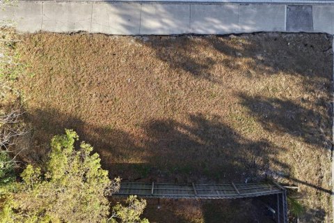 Terreno en venta en Tampa, Florida № 2143179 - foto 4