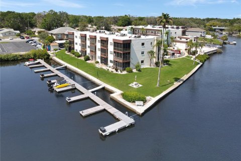 Condo in New Port Richey, Florida, 2 bedrooms  № 1751639 - photo 3