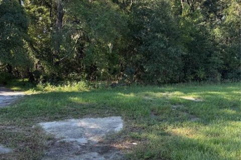 Land in Ocala, Florida № 2393431