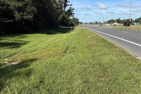 Land in Ocala, Florida № 2393431 - photo 2