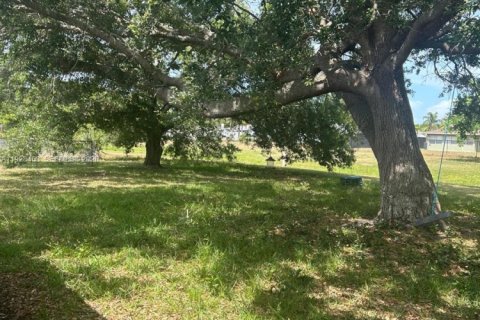 Villa ou maison à louer à Palm Bay, Floride: 2 chambres № 2000015 - photo 12