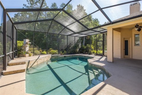 House in New Port Richey, Florida 4 bedrooms, 193.42 sq.m. № 2149908 - photo 10