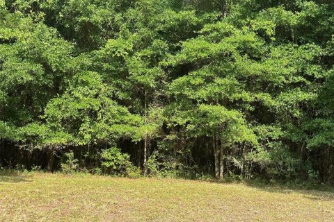 Terrain à vendre à Gainesville, Floride № 1166934 - photo 6
