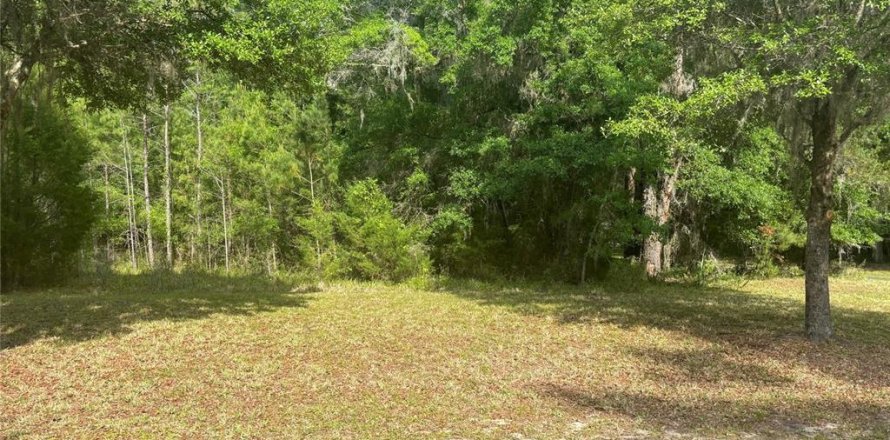 Terreno en Gainesville, Florida № 1166934