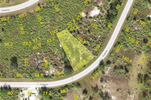 Land in Port Charlotte, Florida № 2159800