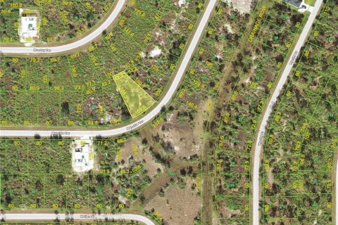 Land in Port Charlotte, Florida № 2159800 - photo 2