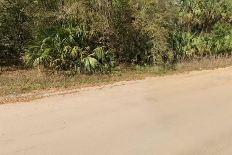 Terrain à vendre à Interlachen, Floride № 2223885 - photo 5